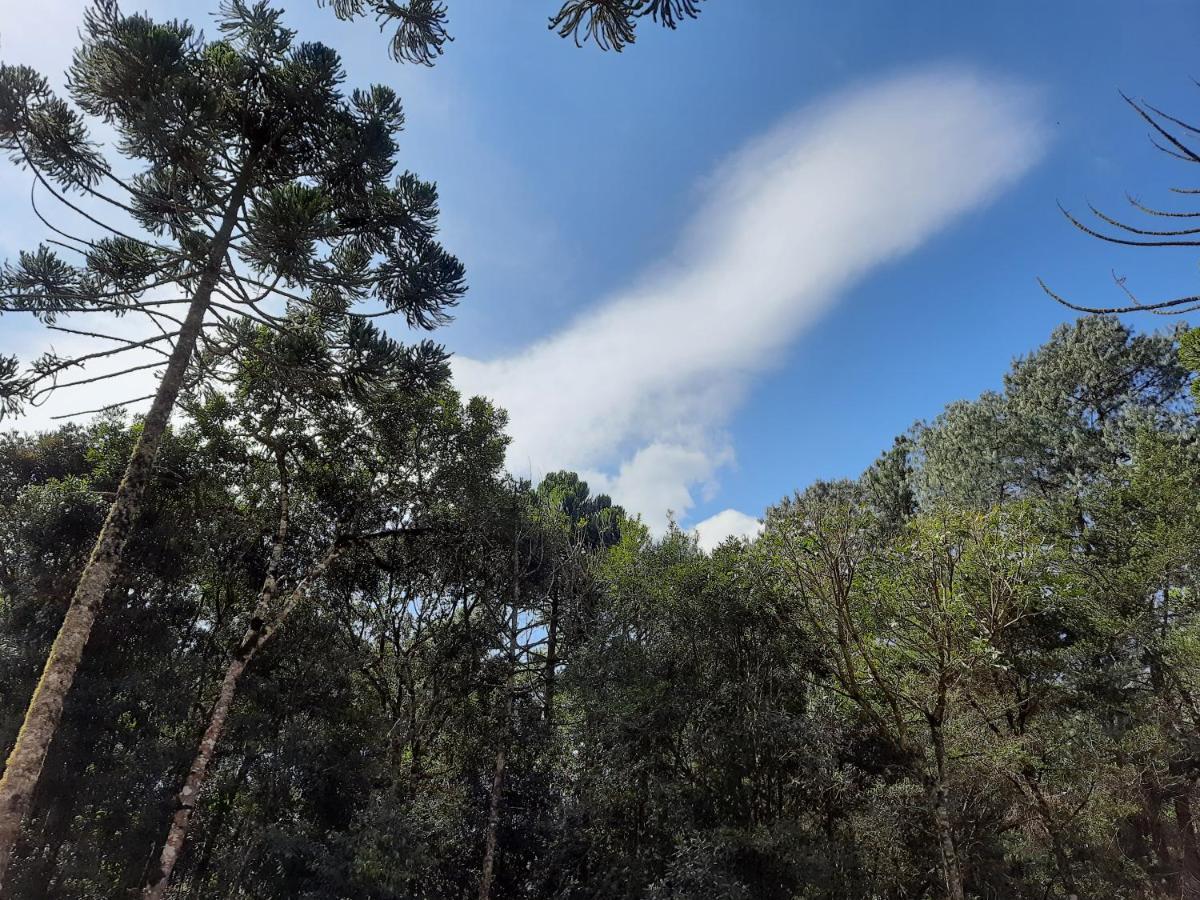 Pousada Bruxa Marela Monte Verde  Dış mekan fotoğraf